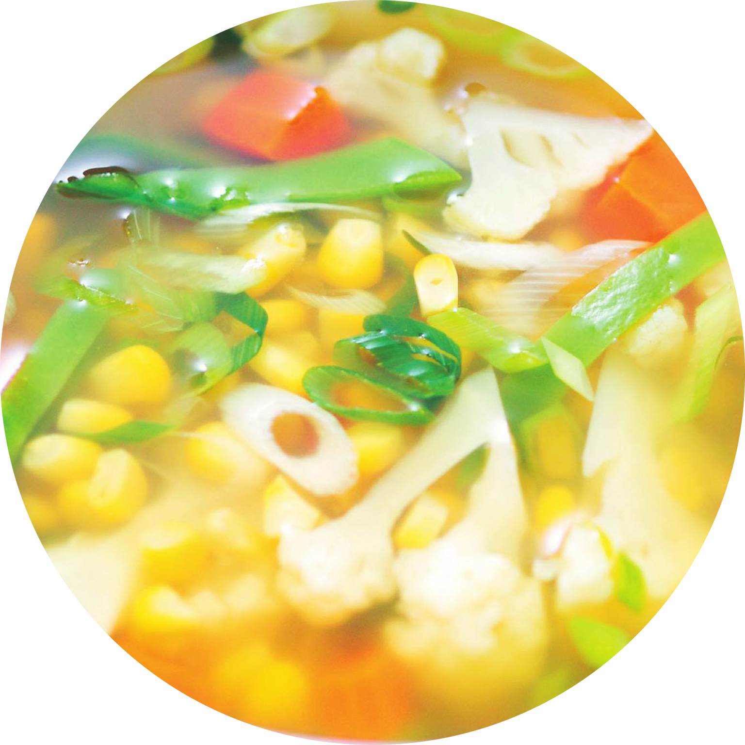 clear vegetable soup modified